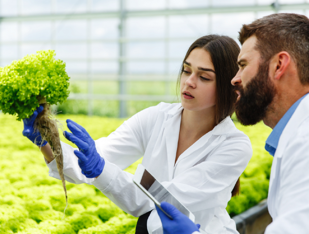 Facultad de Ciencias Agrarias